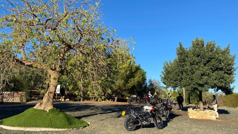 ALQUILER DE ESPACIOS EN MALAGA PARA EVENTOS 13 768x432