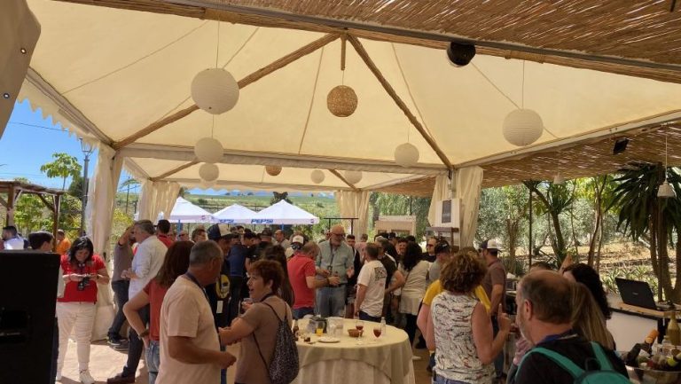 alquiler finca team nuilding 15 768x433