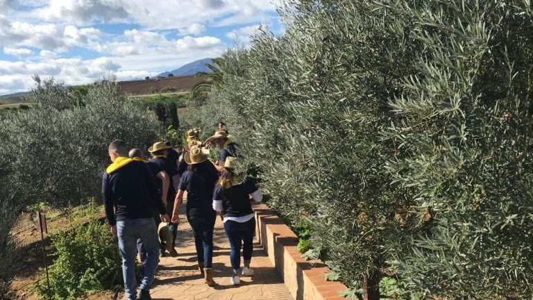 Gincana por equipos juegos de siempre 7 768x432