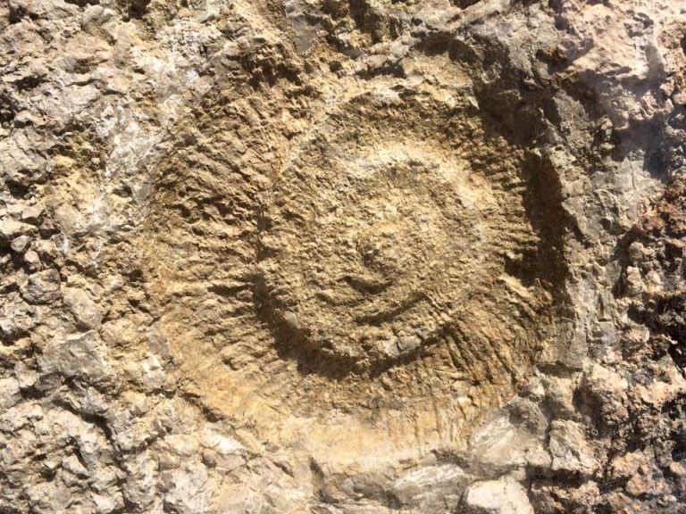 entrada caminito del rey todo incluido 7 768x576